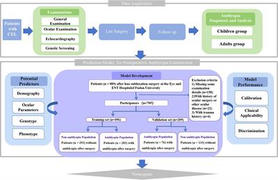 Clinical ocular prediction model of postoperative ametropic amblyopia in patients with congenital ectopia lentis